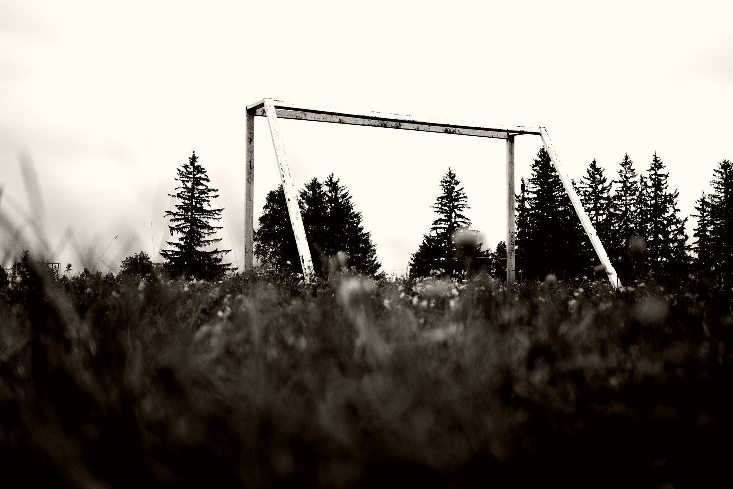 Abandoned field