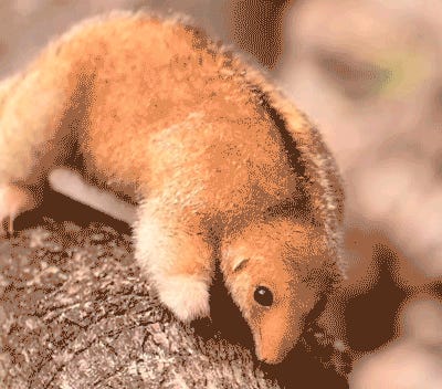 Ghosts In The Machine. Tabs, Fri., April 24, 2026