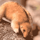 Ghosts In The Machine. Tabs, Fri., April 24, 2026