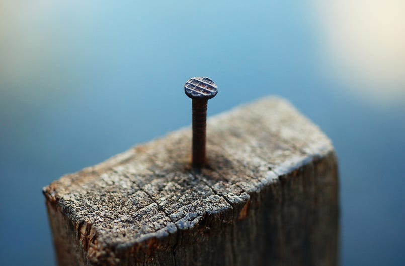 Close up photograph of a piece of wood with a single nail hammered into the end