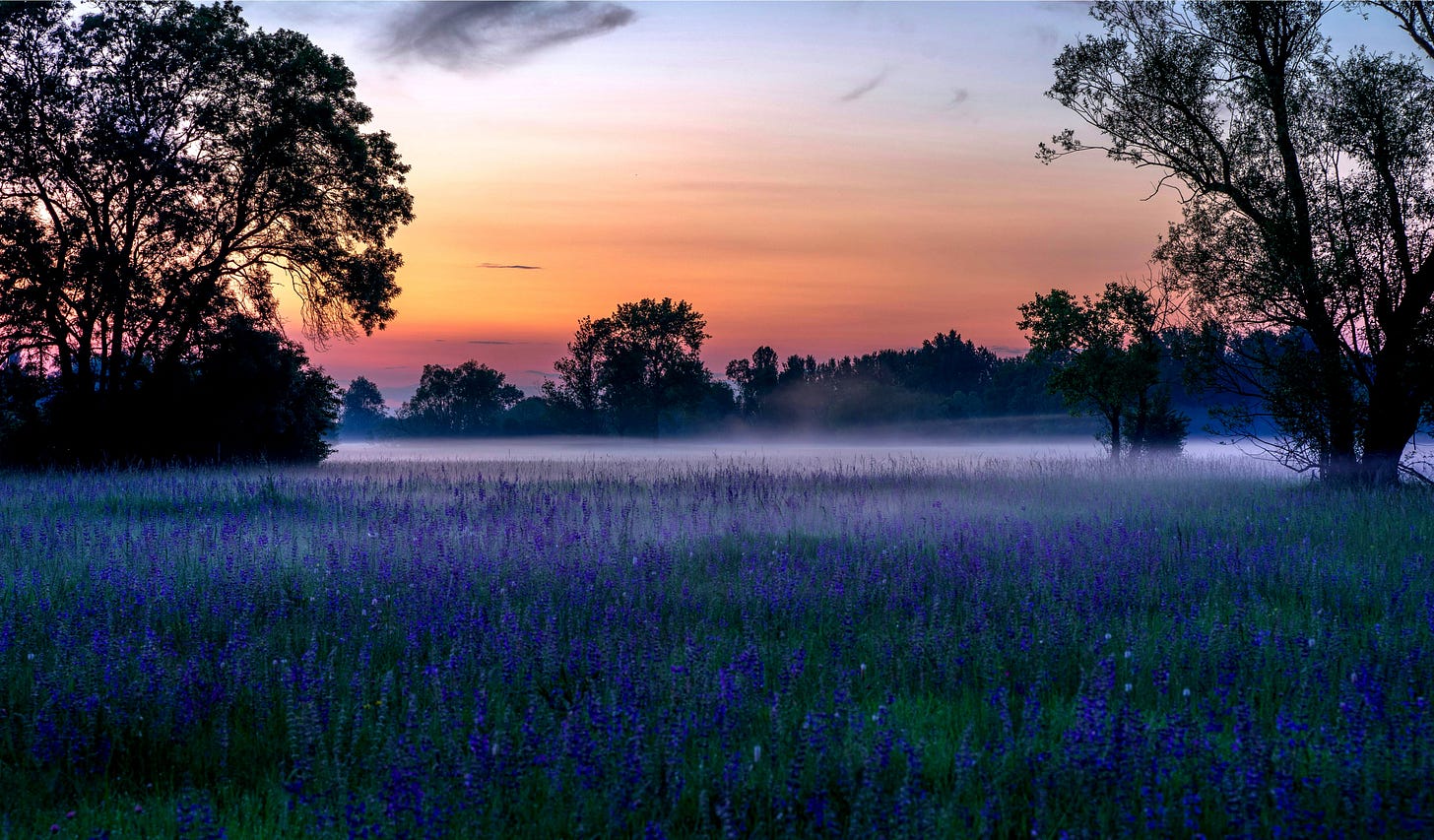 Photo by David Bartus