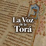 Bajo la Higuera