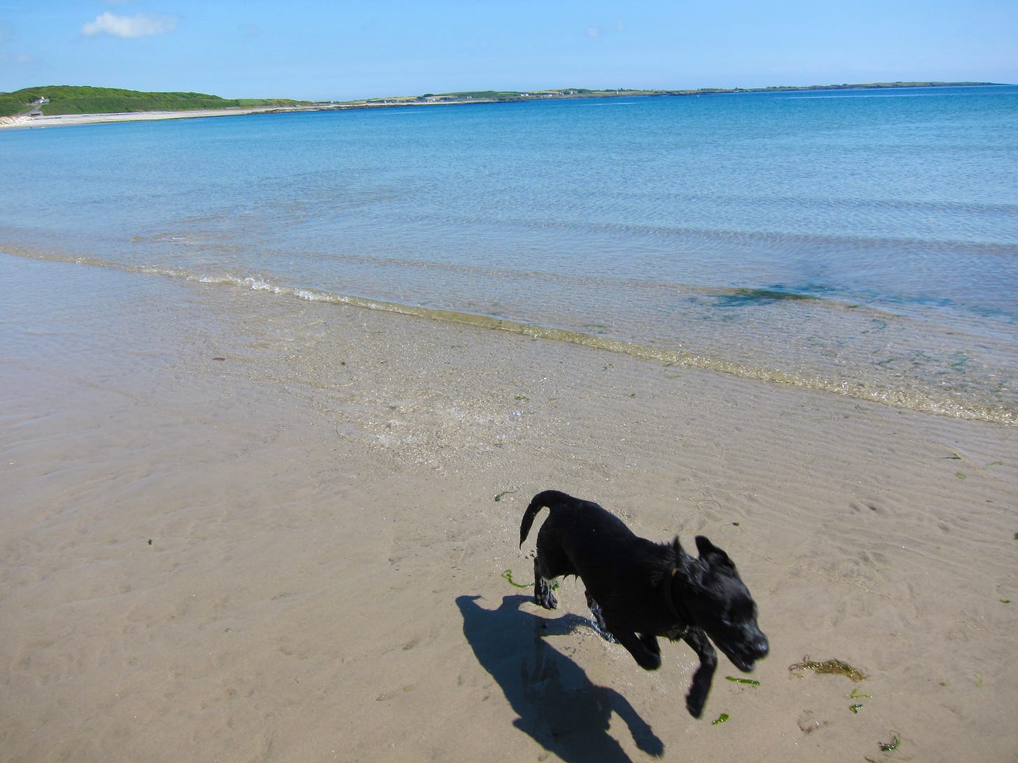 Hummock tearing down the beach of Bay Ny Carricky