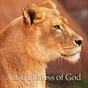 Lioness of Judah Ministry's avatar