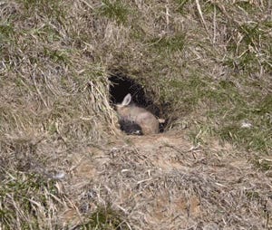 Back On Up While I Roll Up My Sleeves: Tabs, Mon. April 20, 2026