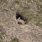 Back On Up While I Roll Up My Sleeves: Tabs, Mon. April 20, 2026