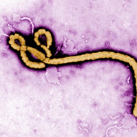 Technology, Trust, and Tuberculosis, with Journalist Will Herkewitz