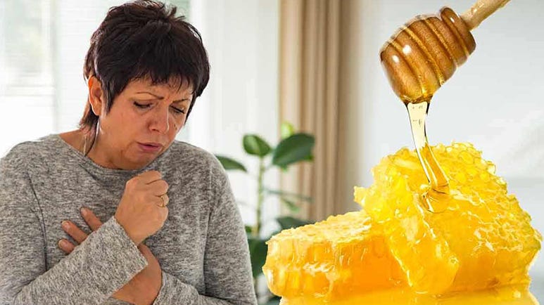 manuka honey for cough