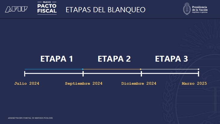 Desde hoy se puede adherir al blanqueo de capitales: cuáles son las  principales características