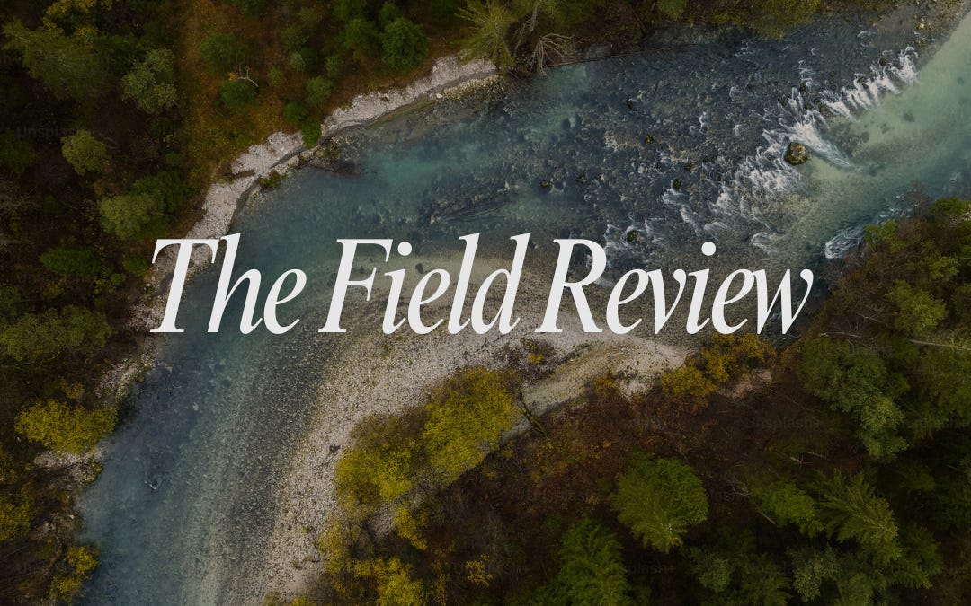 A Capable Man - by Jack Westerheide - The Field Review
