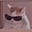 Paramore's avatar