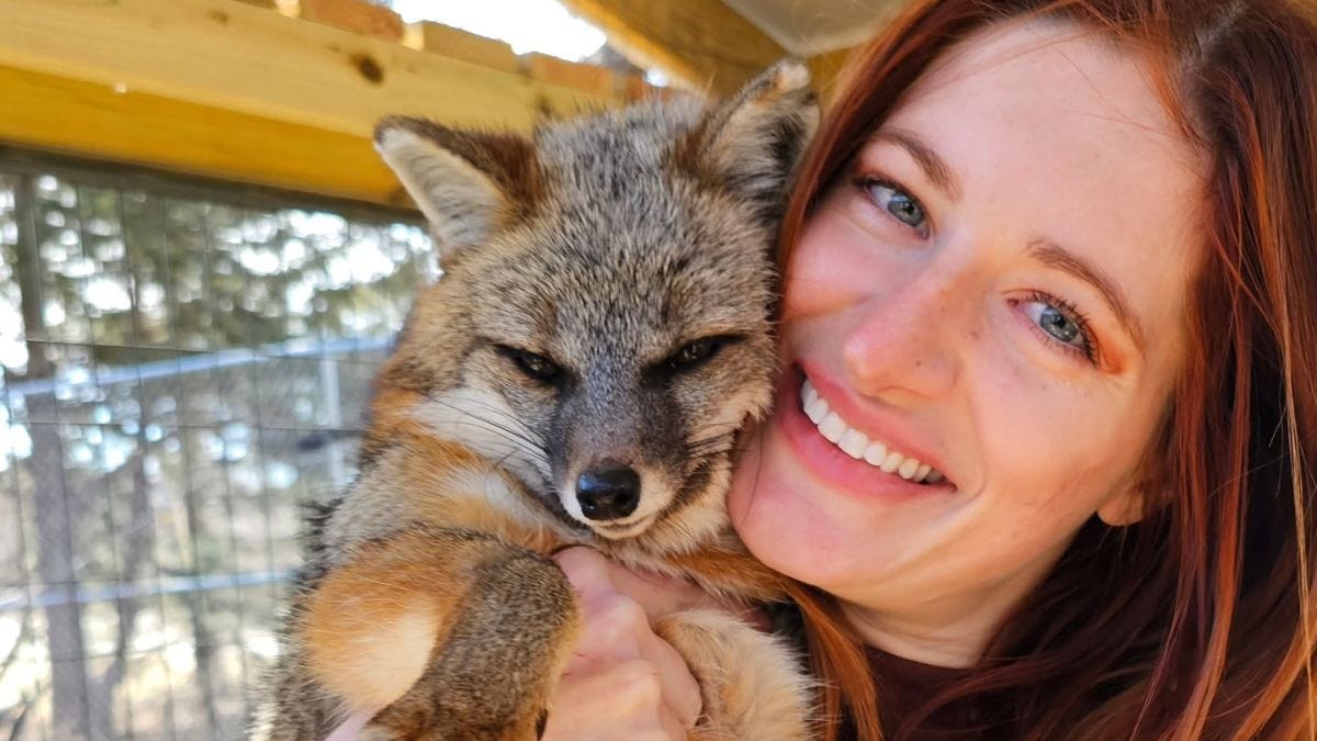 Mikayla Raines, founder of Save a Fox Rescue