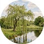Beneath the Willow's avatar