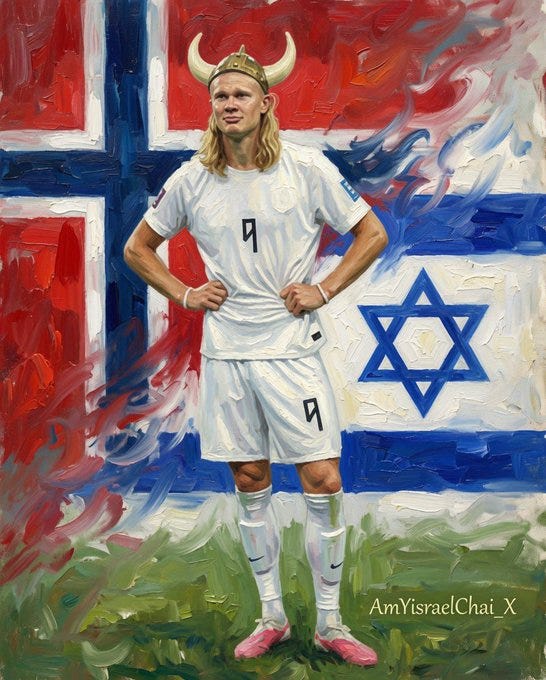 Erling Haaland football player from Team Norway 🇳🇴