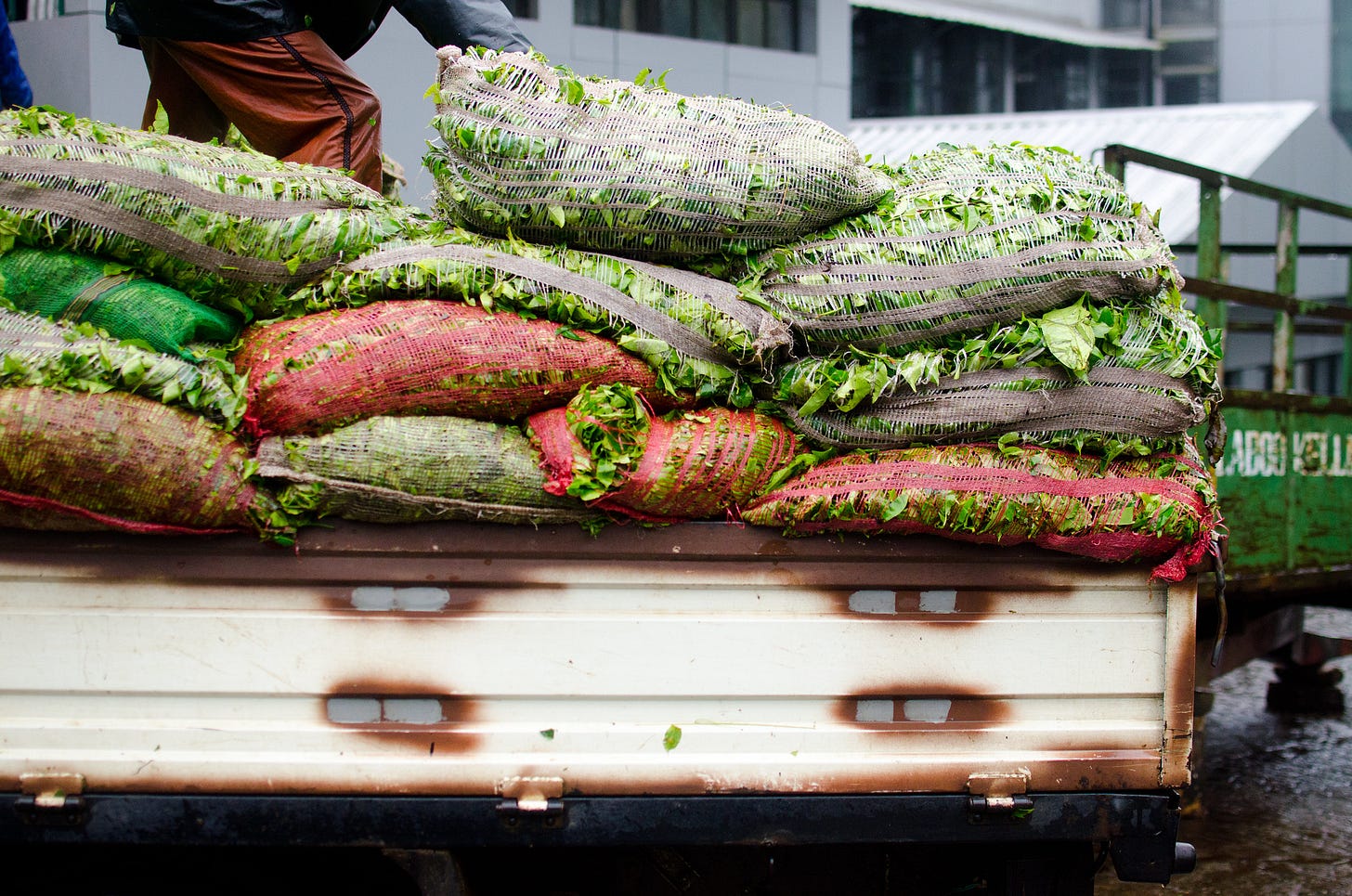 ID: Truck full of bags of fresh tea leaves