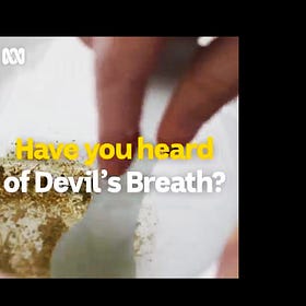 EXPOSED: The Political Class are compromised by Devil's Breath Blackmail Drug 