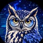 フィティ's avatar