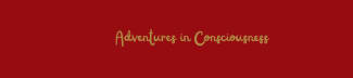Adventures in Consciousness w/Guerda V