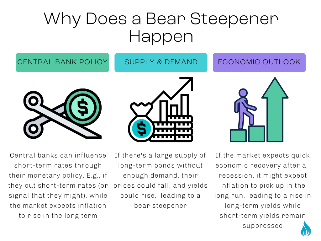 Finance 101: What is a Bear Steepener?