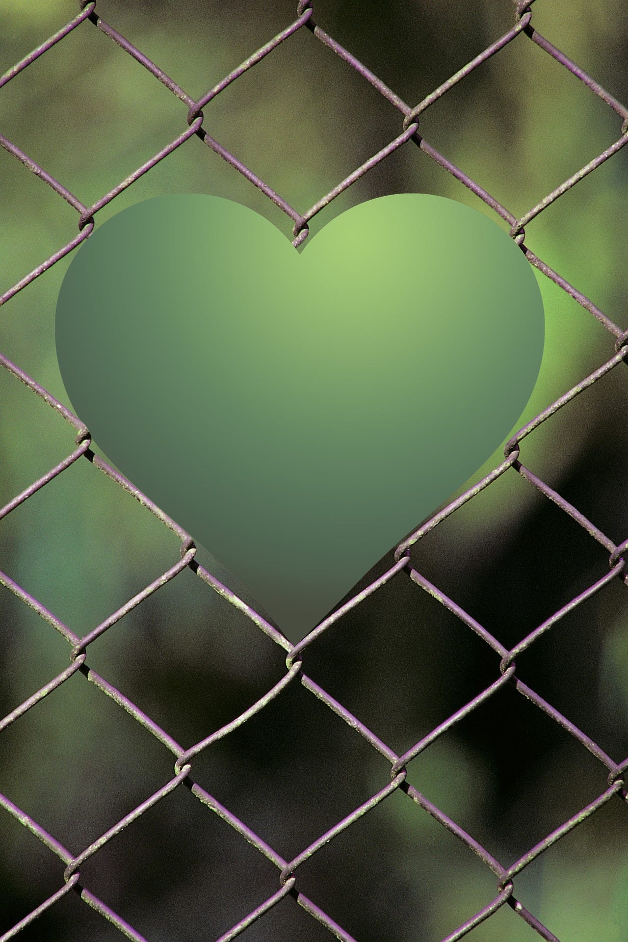 Green metal heart attached to a metal fence Green metal heart attached to a metal fence