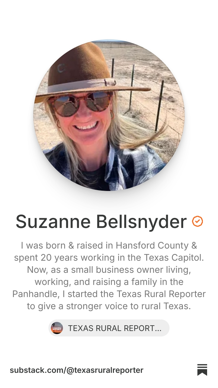 Suzanne Bellsnyder | Substack