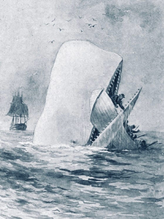 A large whale coming up out of the sea and taking a whaleboat in its mouth. In the distance a whaling ship can be seen. A large whale coming up out of the sea and taking a whaleboat in its mouth. In the distance a whaling ship can be seen.
