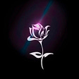 Rose's avatar