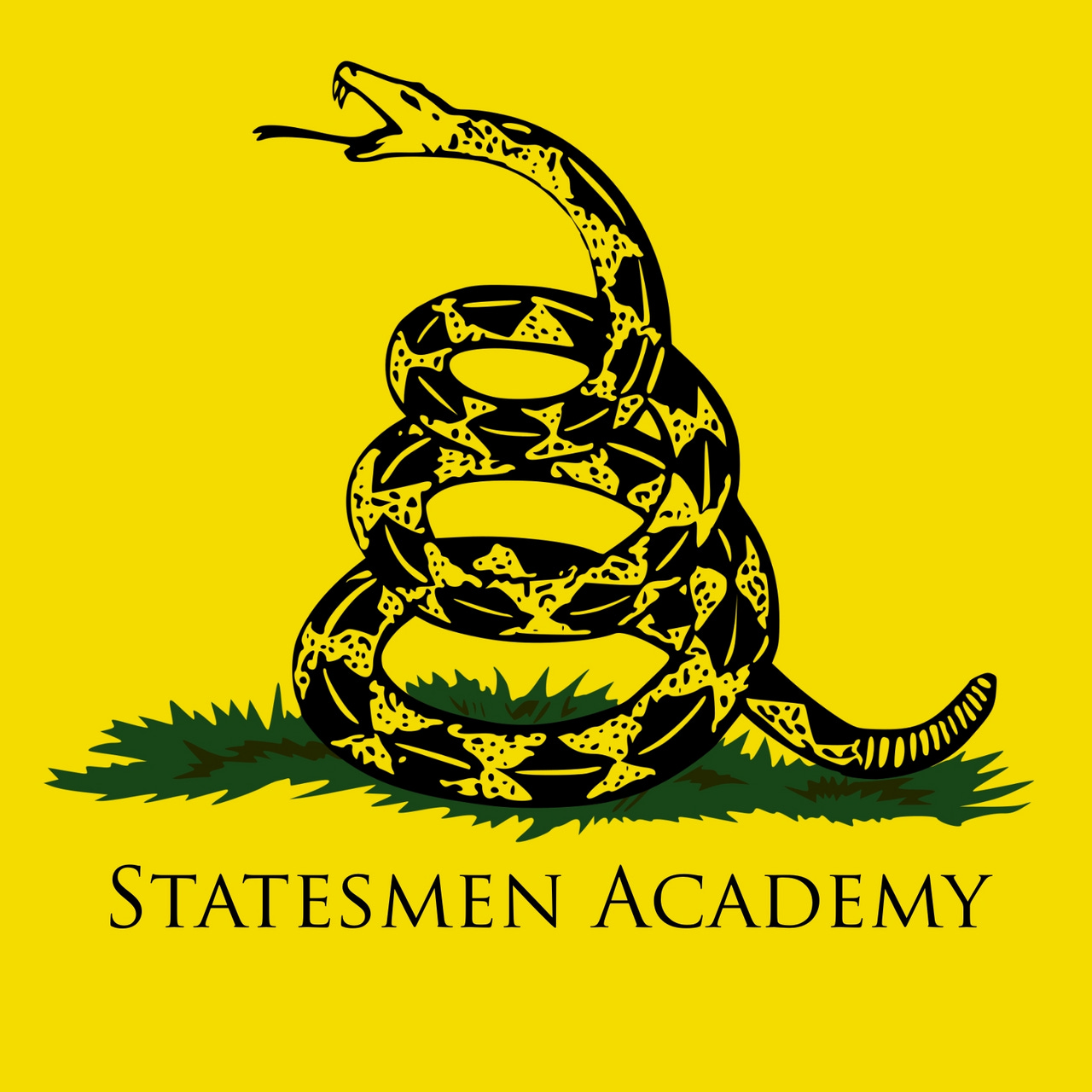 Statesmen Academy