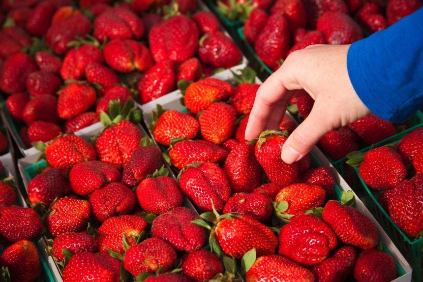 Sample of strawberries contained 10 different "forever" pesticides, the study found.