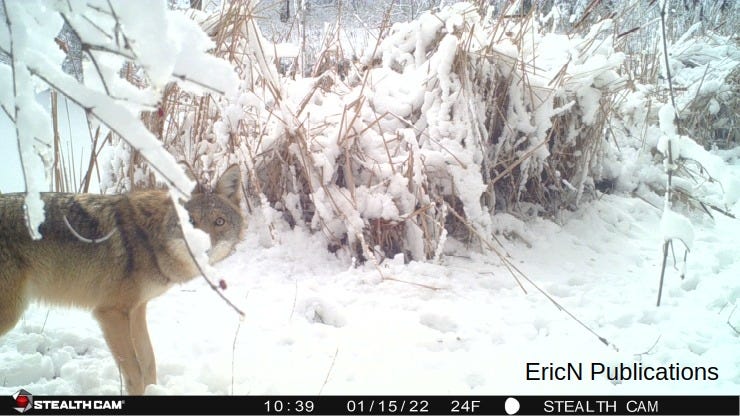 The Latest on EricN Publications