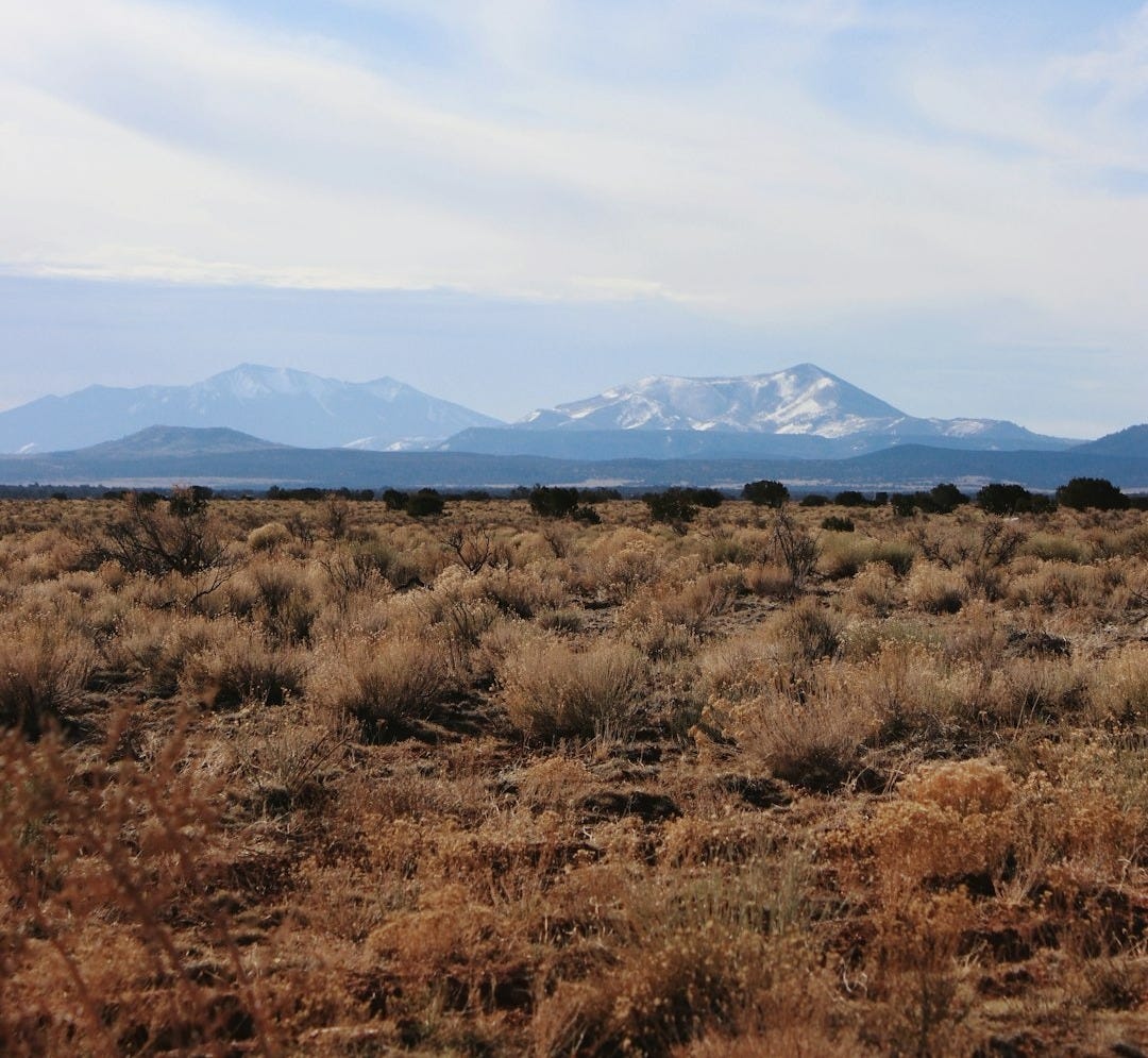 brown grass field near mountains under white clouds during daytime brown grass field near mountains under white clouds during daytime
