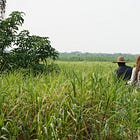 Natural Capital Approaches: A Jump-Start Glossary