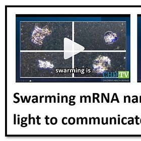 BOMBSHELL: Covid-19 mRNA Nanoparticles EMIT LIGHT SIGNALS That Communicate MAC Addresses Used For Self-Assembly Inside the Blood Vessels