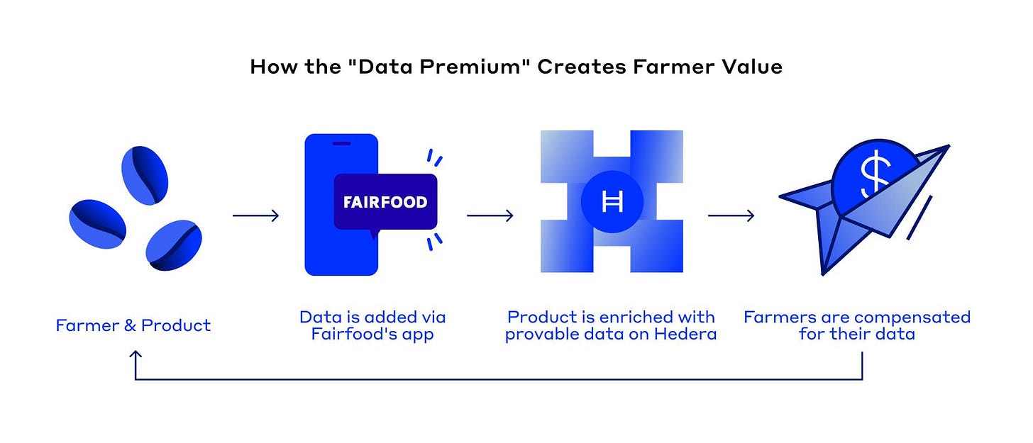 Pioneering fair payment for farmers through Carbon Markets with Hedera  Guardian | Hedera Foundation
