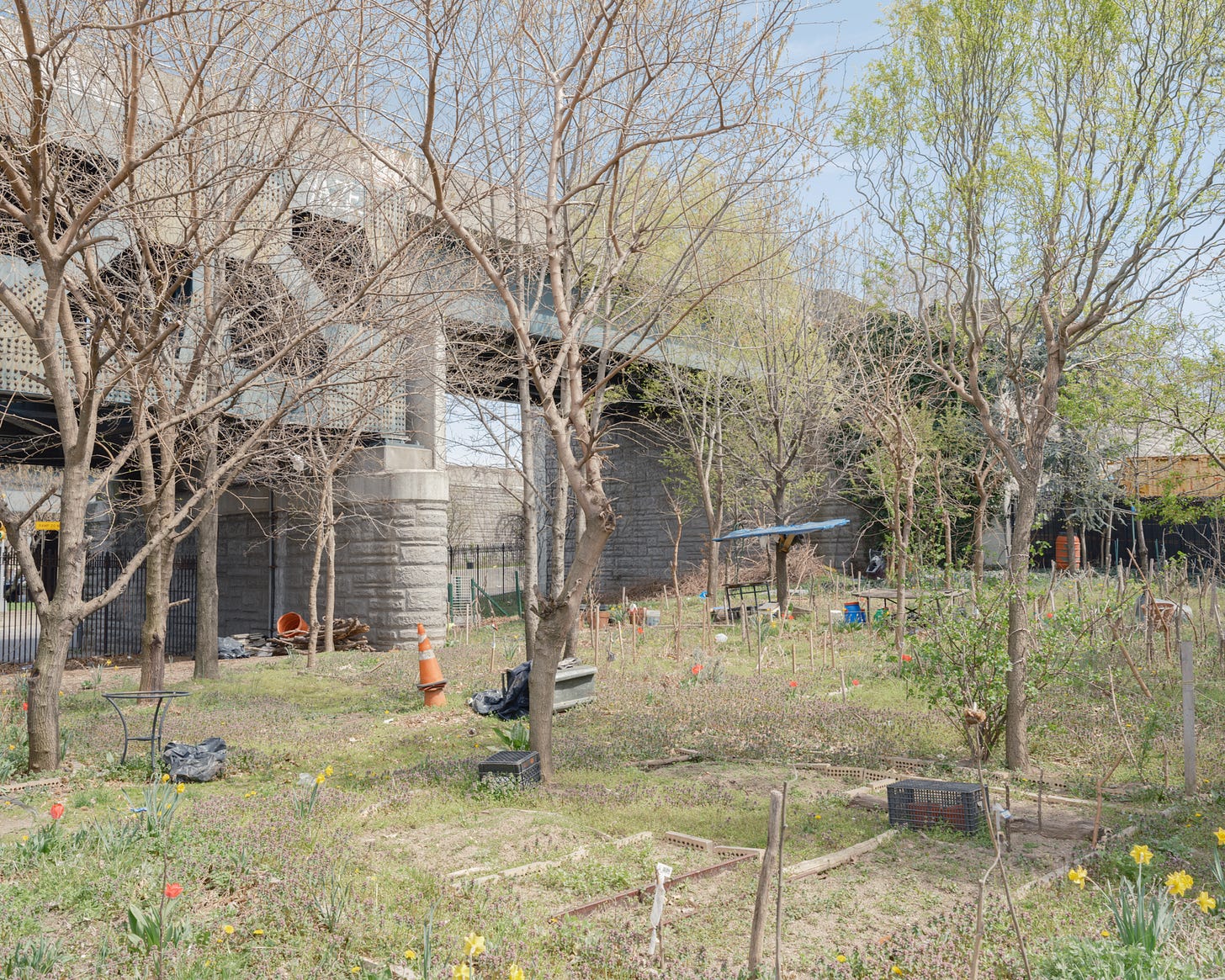 Community Garden under the BQE in Woodside