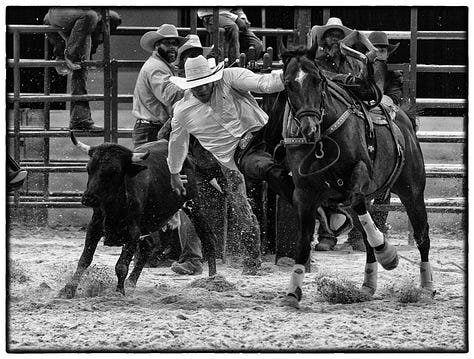 Black Cowboys  Black rodeo