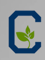 Substack profile picture for @courtyard