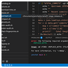 The Terminal IS the IDE Now