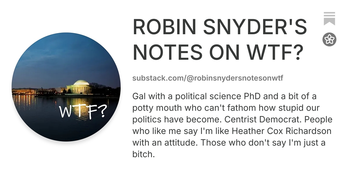 ROBIN SNYDER'S NOTES ON WTF? | Substack