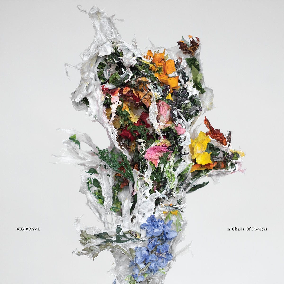 Cover of Big Brave's album A Chaos of Flowers. The cover depicts a bunch of flowers with a white material surrounding them.