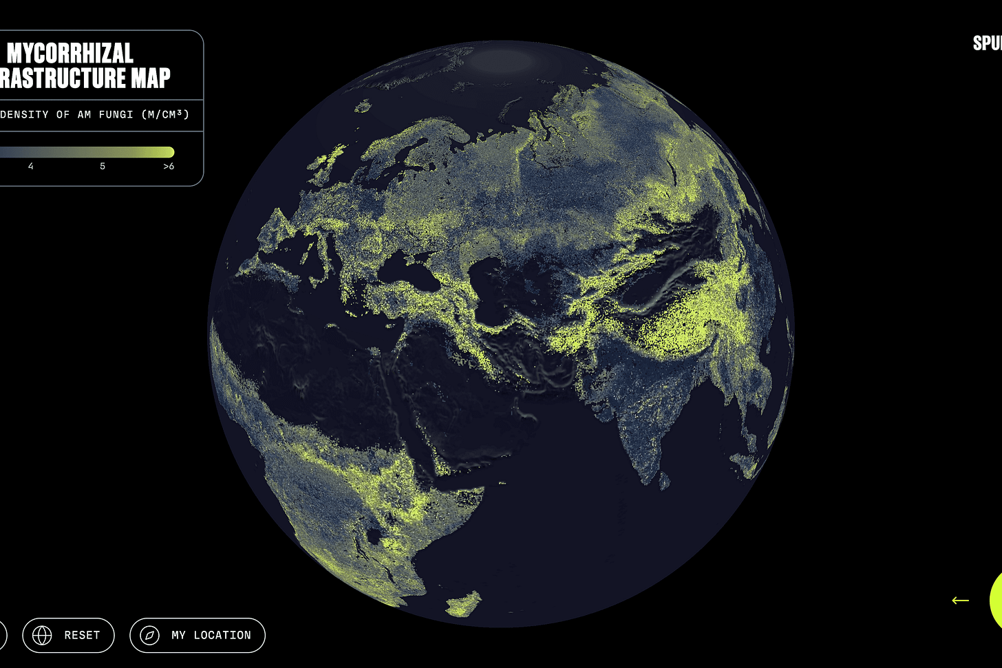 There's a Global Network of Fungi Under Your Feet. This Is the First Complete Map | WIRED Middle East There's a Global Network of Fungi Under Your Feet. This Is the First Complete Map | WIRED Middle East