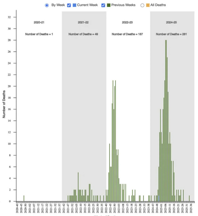 A graph of death numbers

AI-generated content may be incorrect.