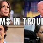 The Democratic Party's Existential Crossroads