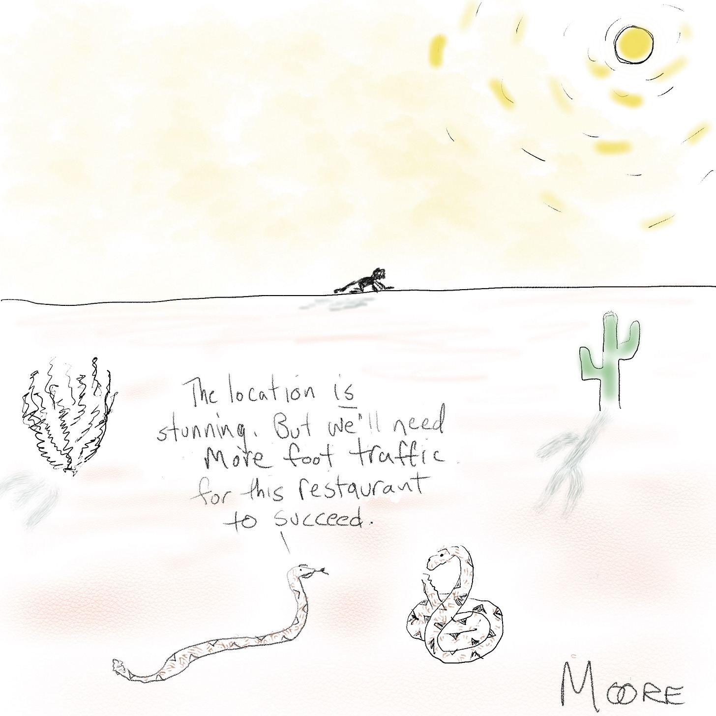 rattlesnakes in the desert
