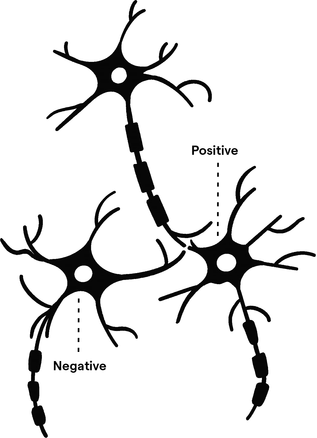 Positive neural pathways in the brainBlack and white illustration of neural pathways, like a Y junction in the road. We choose to build positive or negative neural pathways, also known as mental muscles.
