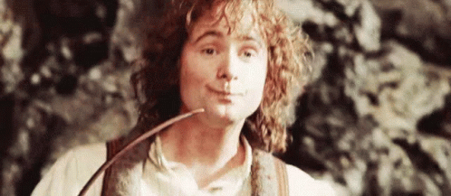 Lord Of The Rings What Can I Say GIF - Lord Of The Rings What Can I Say ...