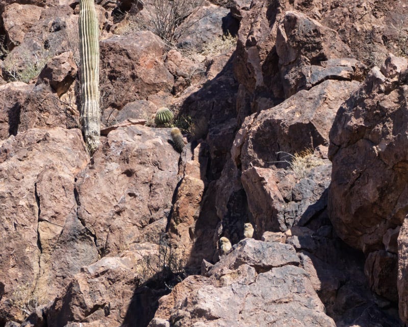 20260507-ElRio-326-Edit 2.jpg