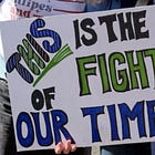 The Contrarian covers the Democracy Movement