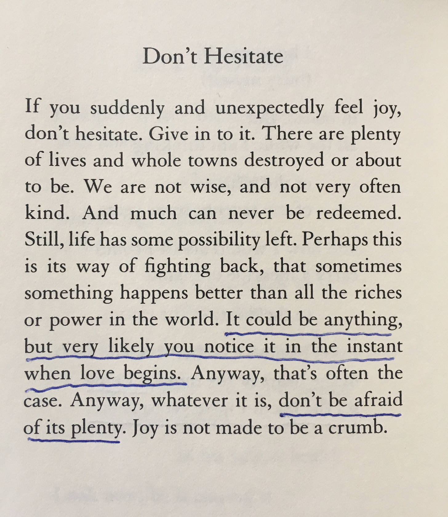 Don't Hesitate" (Yes, yes, MORE Mary Oliver) — Little Hunches