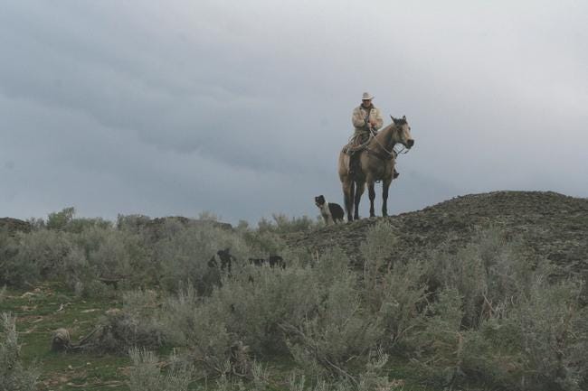 ENFORCEMENT FIRST, EVIDENCE LATER? Washington seeks access to King Ranch ponds years after penalties